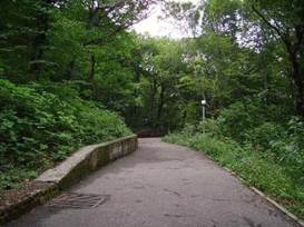 Описание: Picture background