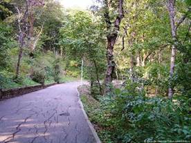 Описание: Picture background