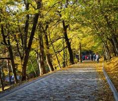 Описание: Picture background